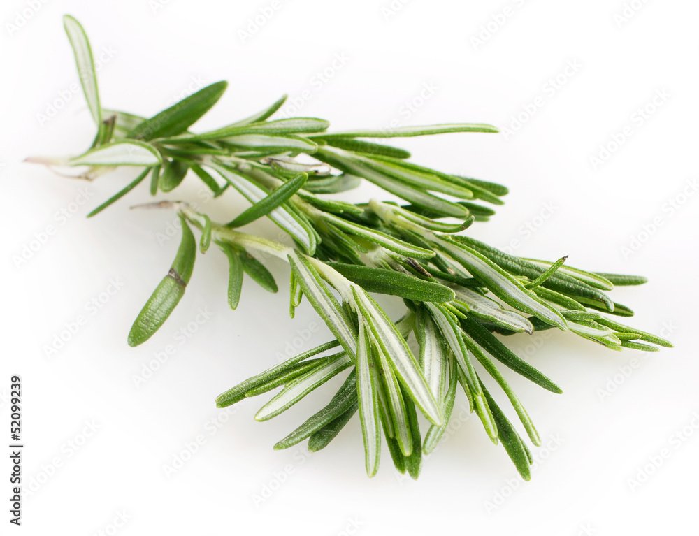 Poster Fresh rosemary