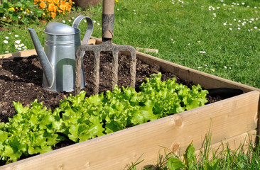 carré de potager © coco