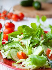 fresh salad with greens and tomatoes