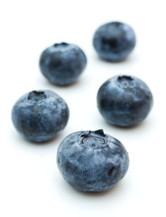 Fresh  blueberries  on white background