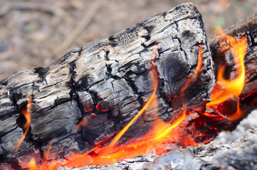 Log fire