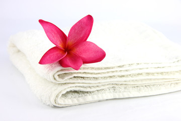 Red flowers with white towel.
