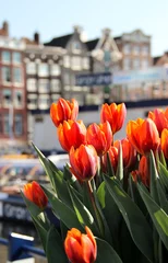 Fotobehang Amsterdam in tulpen © Tanouchka
