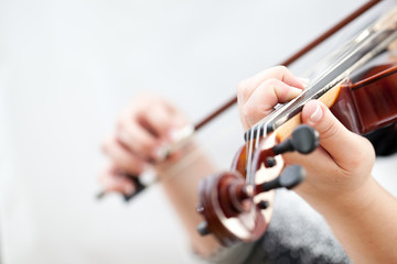 Violin