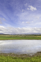 Lake in the mountains