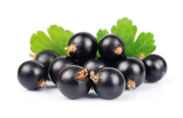 Black currants