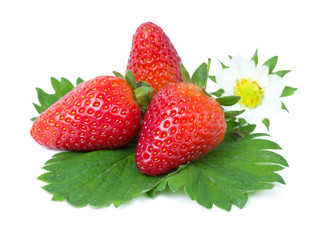 Erdbeeren