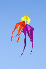 Drei bunte Flugdrachen