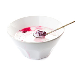 Fresh yogurt with  blackberry in a white bowl, isolated