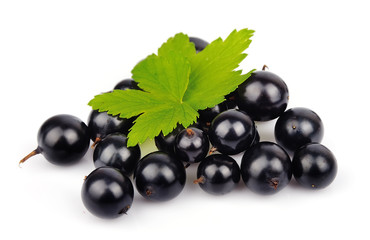 Black currants