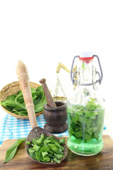 Bärlauchtinktur in einer Flasche