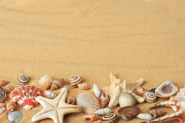 Fototapeta na wymiar muszelki z piasku