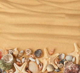 Fototapeta na wymiar muszli i piasku. Tło