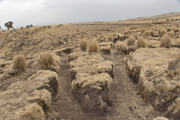 Soil erosion in the Simien Mountains national park, Ethiopia.