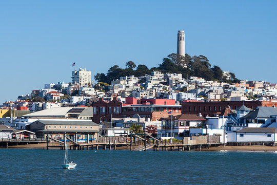 Sam Francisco Skyline