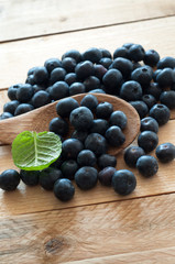 Blaubeeren