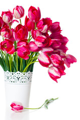 bright pink tulips in a white vase