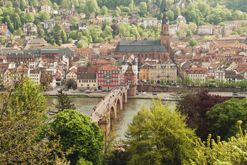 Heidelberger Altstadt vom Philosophenweg aus gesehen