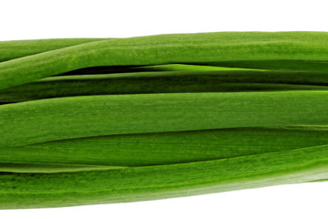 Young onion on white background. Close-Up. Isolated.