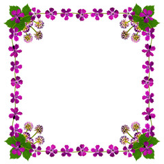 LilaBluetenRahmenQuadratWeiss1