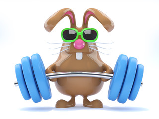 Chocolate bunny lifts some heavy weights © Steve Young