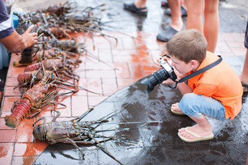 Boy photographing at seafood market
