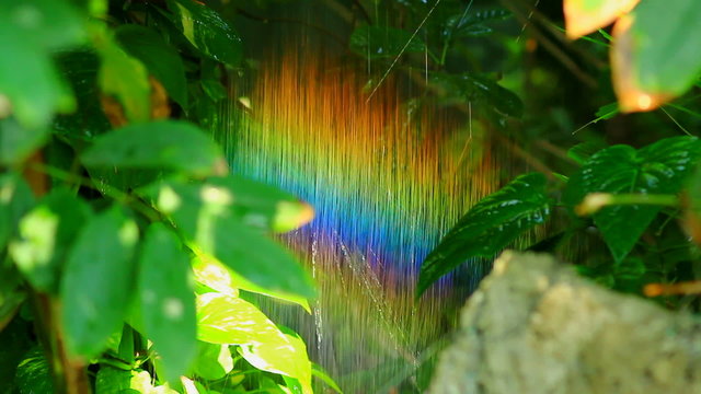 Rainbow in nature