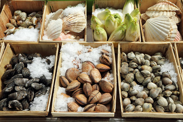 Display of shellfish , Brussels, Belgium