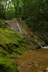 cascata nel bosco
