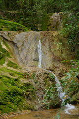 cascata nel bosco