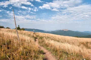 Marked tourist trail in the Bieszczady Mountains, Europe, Poland
