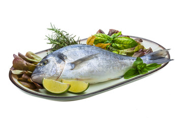 Fresh raw dorada