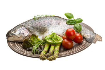 Fresh raw rainbow trout