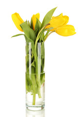 Yellow tulips in vase isolated on white