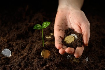 Hands with plant and money