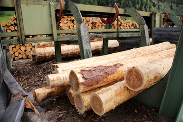 Holzstämme bearbeitet im Sägewerk