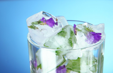 Ice cubes with flowers and herbs in glass, on blue background