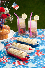 Picnic on 4th of July