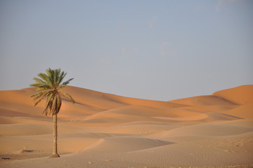 les dunes de merzouga