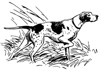Türaufkleber Pointing dog at hunting © dnbr