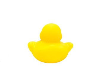Rubber duck