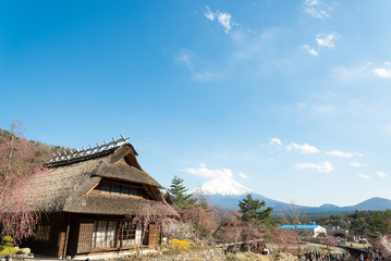 Gassho House with Mount Fuji at Iyashi-no-Sato Village, Nenba, J