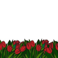 czerwone tulipany poziomy border z miejscem na tekst © demonique