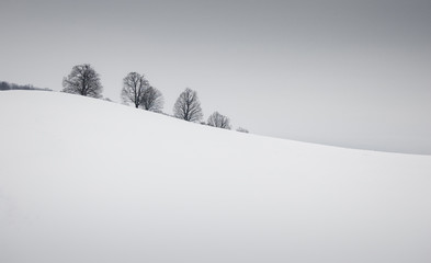 simple winter landscape with snow and trees