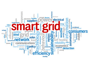 "SMART GRID" Tag Cloud (technology communications services lean)