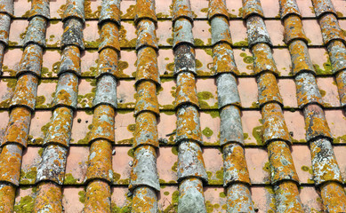 Tegole di vecchio tetto con muschi e licheni