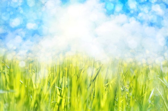 Abstract nature spring background.