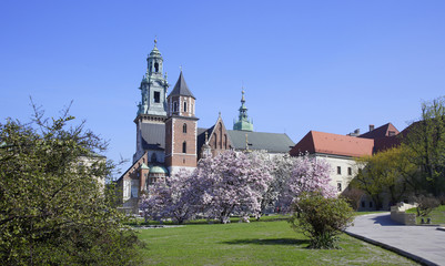 widok na Wawel od strony  dziedzińca