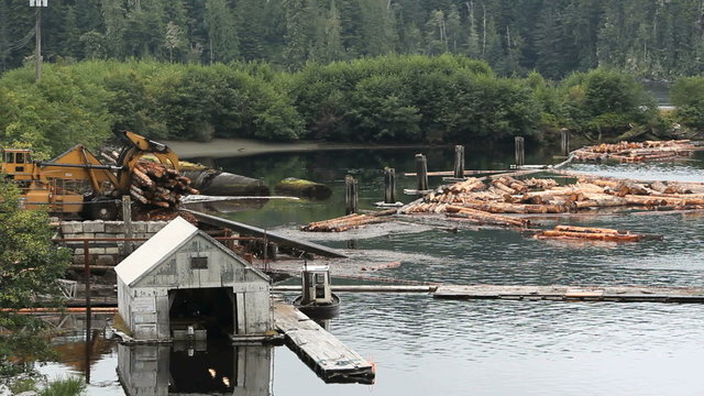Logs Dumped into Water, British Columbia