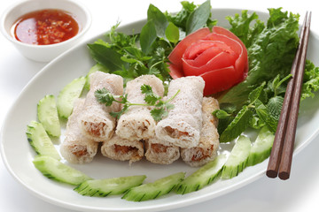 net spring rolls, chao gio re, vietnamese cuisine